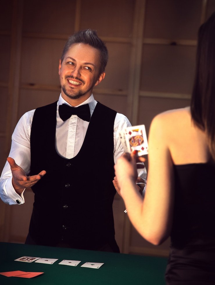 stake mirror Bingo